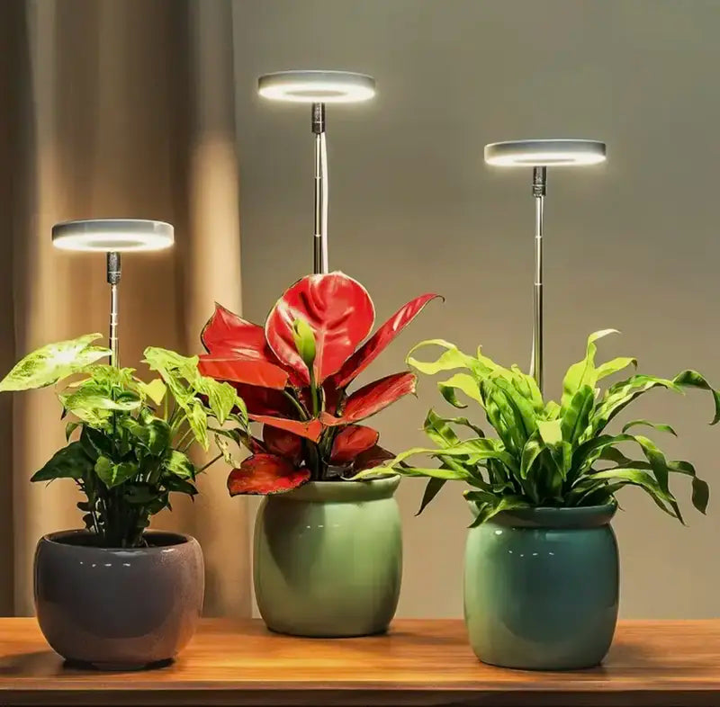 Iliana - verstellbares LED-Pflanzenlicht