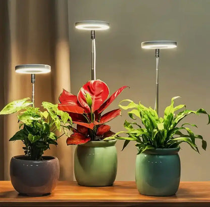 Iliana - verstellbares LED-Pflanzenlicht