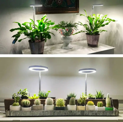 Iliana - verstellbares LED-Pflanzenlicht