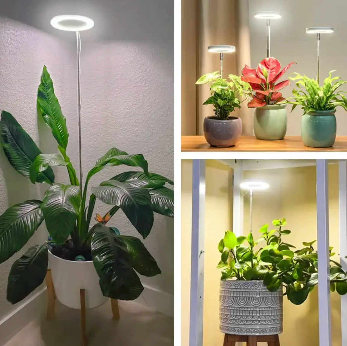 Iliana - verstellbares LED-Pflanzenlicht