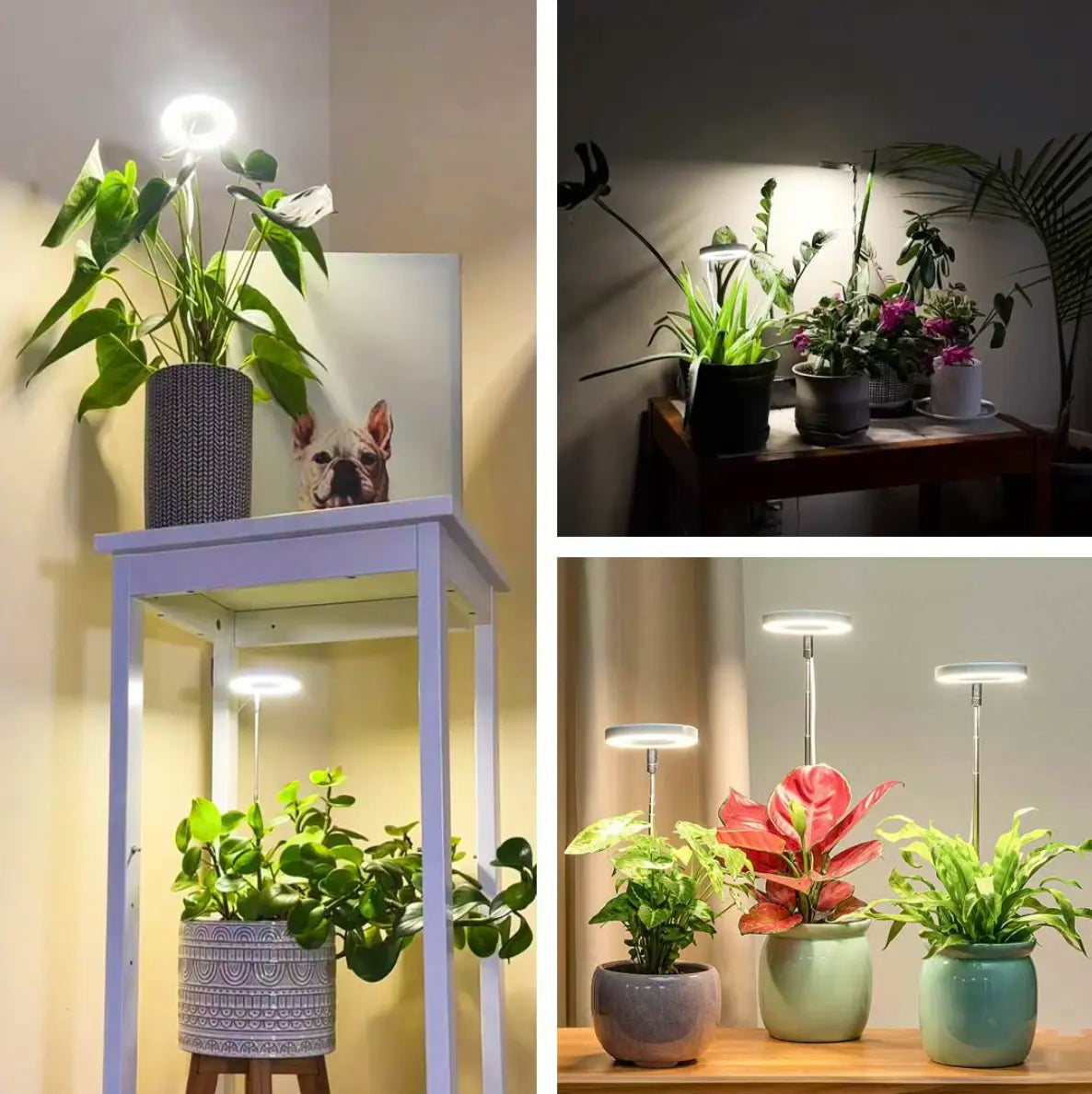 Iliana - verstellbares LED-Pflanzenlicht