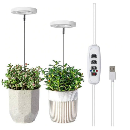 Iliana - verstellbares LED-Pflanzenlicht